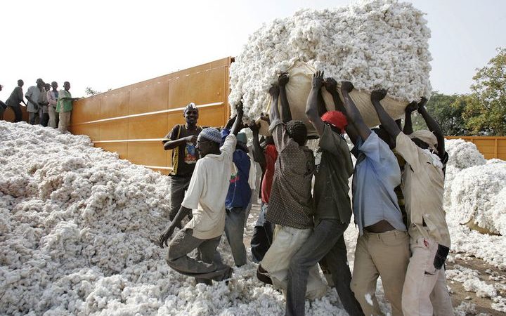 la Commune III du District de Bamako par « ordonnance gracieuse », le jeudi 2 septembre 2021. Une décision qui met fin au bicéphalisme à la présidence de la Confédération des sociétés coopératives des producteurs de coton (C-SCPC) depuis des mois.