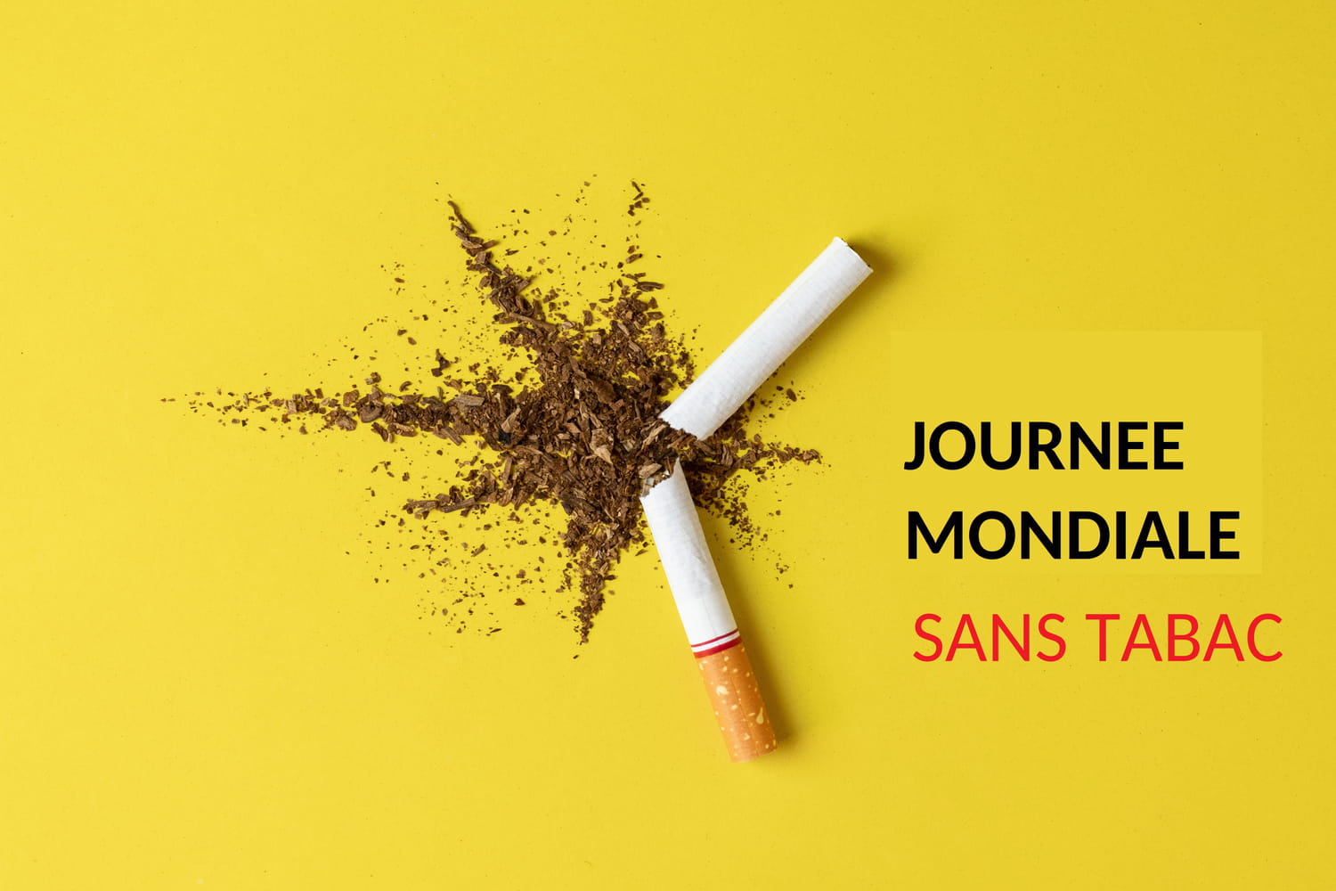 JOURNEE MONDIALE SANS TABAC « Le Tabac : une menace pour notre environnement »