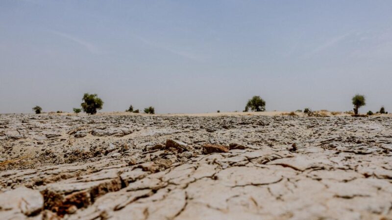 Impacts du Changement climatique au Nord du Mali : Le CICR déplore la multiplication des forages négatifs