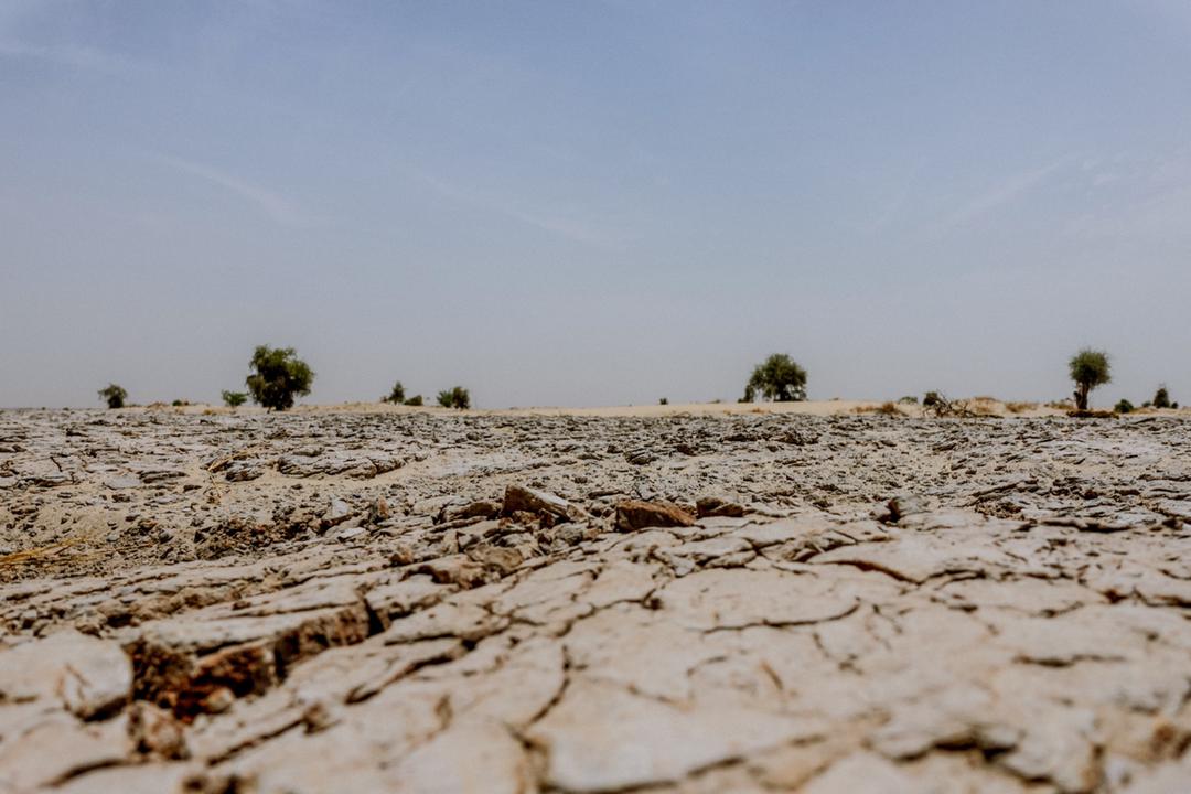 Impacts du Changement climatique au Nord du Mali : Le CICR déplore la multiplication des forages négatifs