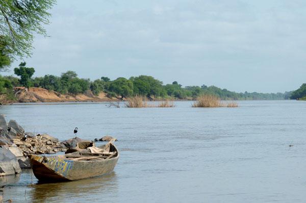 Affrontement sanglant autour du fleuve Falemé dans la commune de Dialafara (Kéniéba) : Le bilan est de 2 morts, 9 blessés dont 6 cas graves par balles évacués sur Bamako