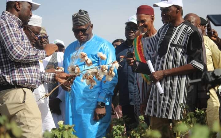 Visite de terrain du champ d’expérimentation de coton de l’opérateur économique Ibrahim Diawara à Sala : le satisfécit de M. Modibo KEITA, ministre du Développement Rural