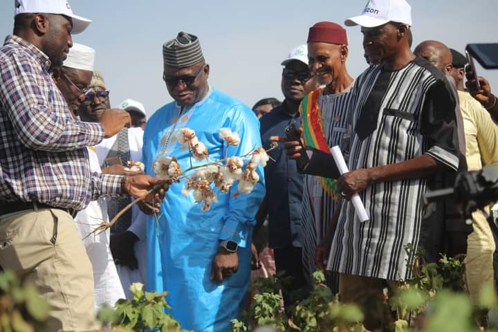 Visite de terrain du champ d’expérimentation de coton de l’opérateur économique Ibrahim Diawara à Sala : le satisfécit de M. Modibo KEITA, ministre du Développement Rural