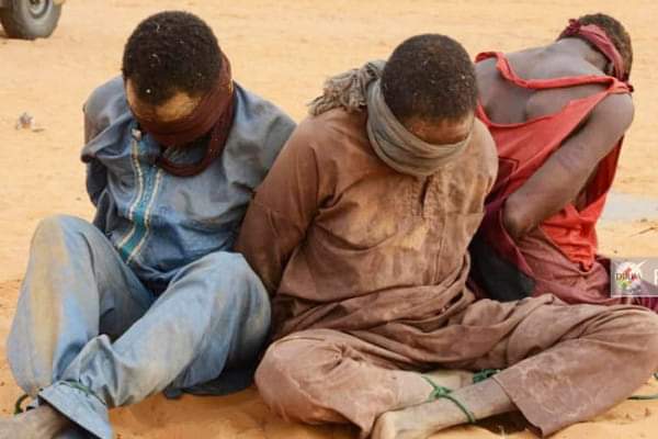 MALI : Plusieurs terroristes neutralisés dans le Gourma dans la région de Gao