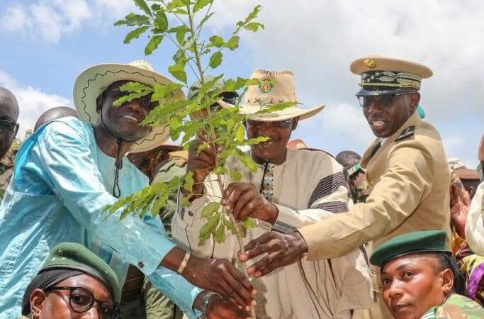 Campagne nationale de reboisement 2023 : Plus de 16 000 ha à verdir à travers le Mali