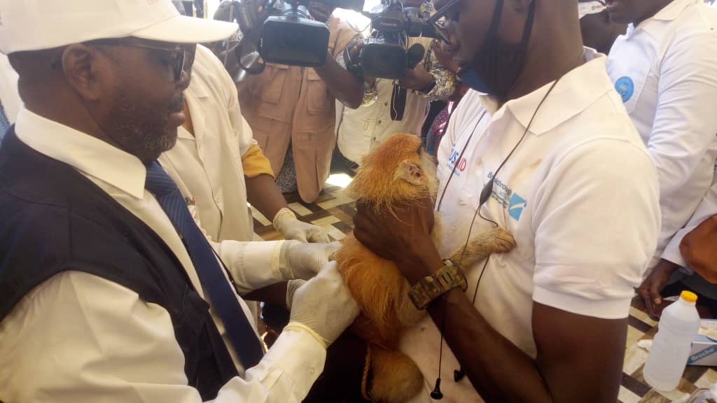 Journée mondiale de lutte contre la rage : Le Mali couple l’évènement avec la vaccination des chiens et chats dans les localités de Kati, Sanankoroba, Baguinéda, San, Dioila, Koutiala