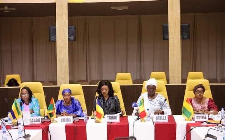 Femmes et Transitions Politiques en Afrique : LA FEUILLE DE ROUTE SUR « GENRE, ÉLECTIONS ET RÉFORMES » EXPLIQUÉE