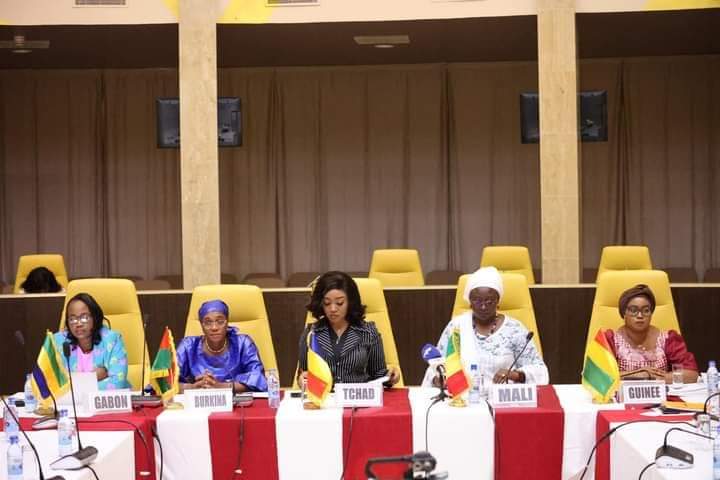 Femmes et Transitions Politiques en Afrique : LA FEUILLE DE ROUTE SUR « GENRE, ÉLECTIONS ET RÉFORMES » EXPLIQUÉE