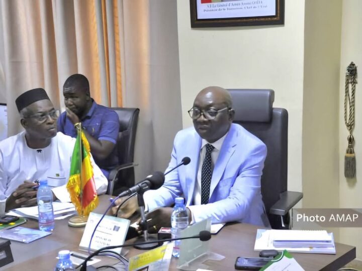 Mali- Campagne agricole 2025 : Près de 11,7 millions de tonnes de céréales attendues