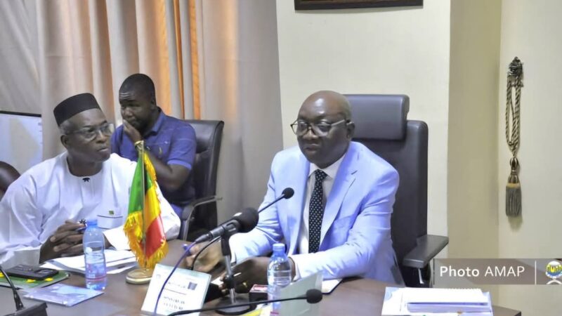 Mali- Campagne agricole 2025 : Près de 11,7 millions de tonnes de céréales attendues