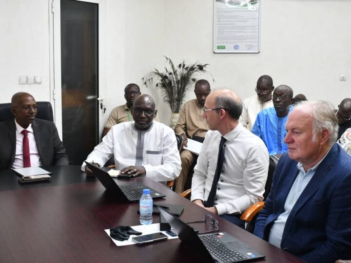 La CMDT et l’ambassade du Mali en Allemagne enclenchent une dynamique industrielle prometteuse