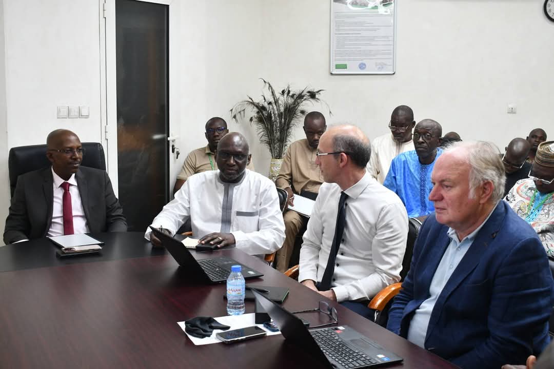 La CMDT et l’ambassade du Mali en Allemagne enclenchent une dynamique industrielle prometteuse