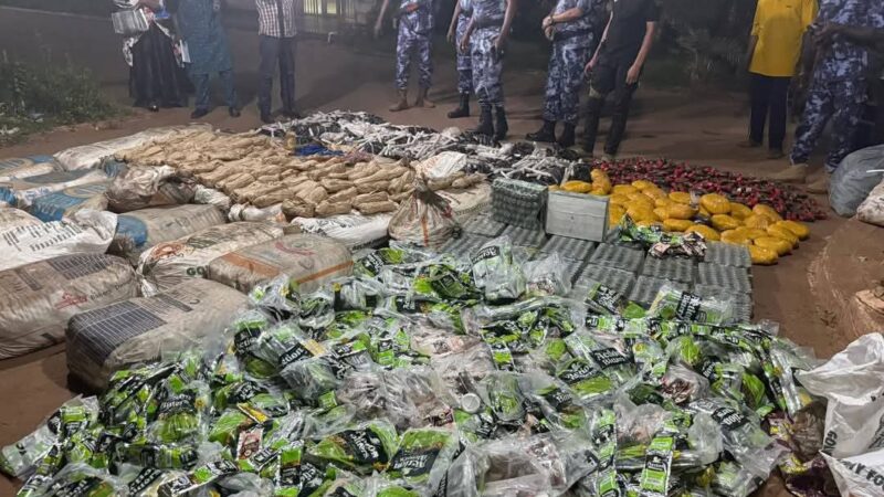 Mali- Les douanes saisissent des munitions et de la drogue dans un camion à Bamako