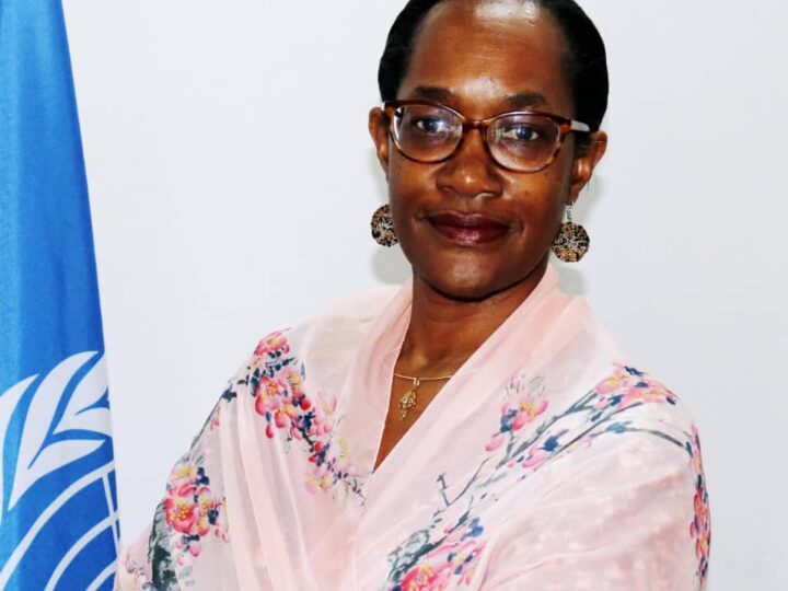 Lutte contre le VIH pédiatrique: La RDC et l’ONUSIDA misent sur l’IPESE 