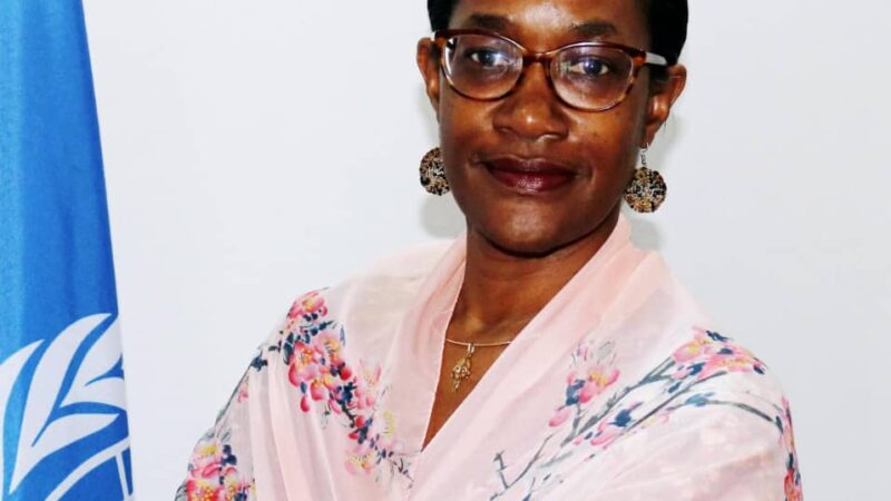 Lutte contre le VIH pédiatrique: La RDC et l’ONUSIDA misent sur l’IPESE 