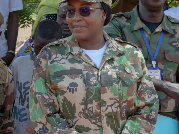 Lutte contre la déforestation au Mali : Vers la digitalisation des services forestiers