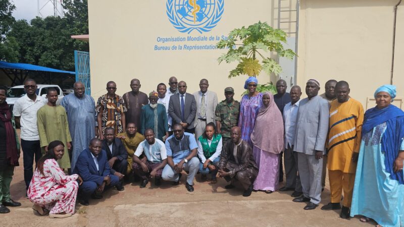 Mali- Plan d’action national pour la sécurité sanitaire : L’OMS appuie le MSDS pour la validation du document