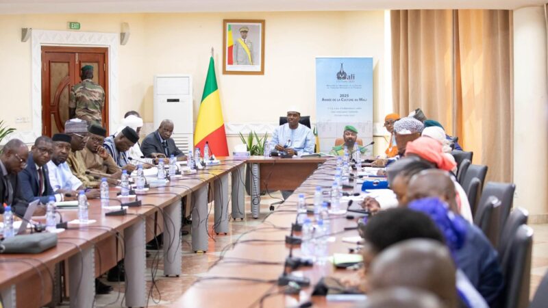 Mali- Digitalisation de la Santé : l’ANTIM présente OpenClinic devant le Comité chargé de la digitalisation de l’administration