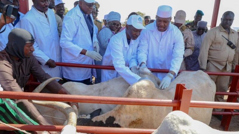 LANCEMENT DE LA CAMPAGNE NATIONALE DE VACCINATION DU CHEPTEL AU MALI