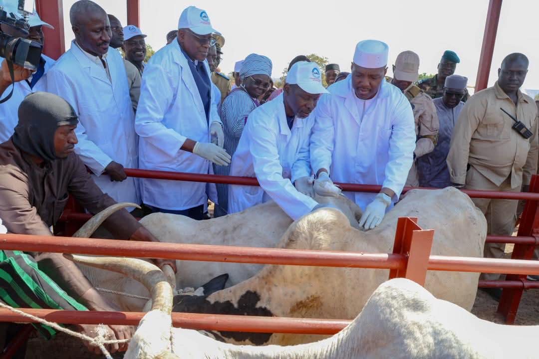 LANCEMENT DE LA CAMPAGNE NATIONALE DE VACCINATION DU CHEPTEL AU MALI