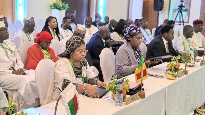 Conseil des ministres de la CIPRES : Bangui accueille la 39e session ordinaire.