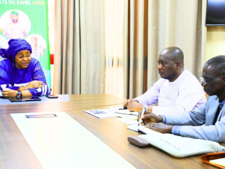 Mali-𝐒𝐨𝐢𝐧𝐬 𝐩𝐚𝐥𝐥𝐢𝐚𝐭𝐢𝐟𝐬 𝐚𝐮 𝐌𝐚𝐥𝐢 : 𝐥’𝐀𝐌𝐒𝐏 𝐩𝐥𝐚𝐢𝐝𝐞 𝐩𝐨𝐮𝐫 𝐥𝐚 𝐟𝐨𝐫𝐦𝐚𝐭𝐢𝐨𝐧 𝐞𝐭 𝐥’𝐚𝐜𝐜è𝐬 à 𝐥𝐚 𝐦𝐨𝐫𝐩𝐡𝐢𝐧𝐞