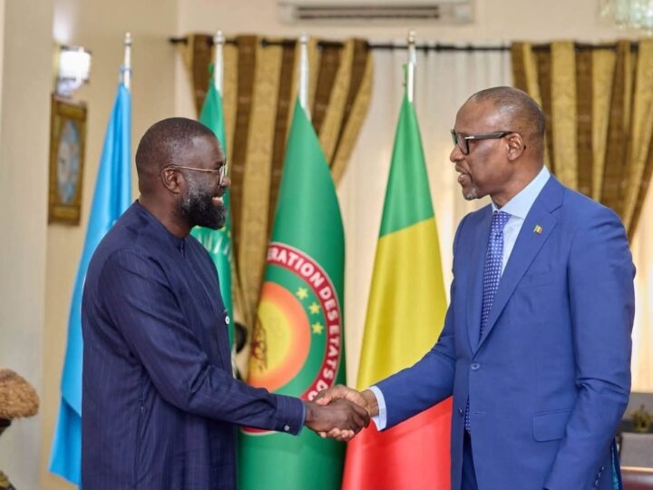 Coopération : Des échanges fructueux entre le Ministre Abdoulaye DIOP et le Directeur Afrique de la Croix rouge