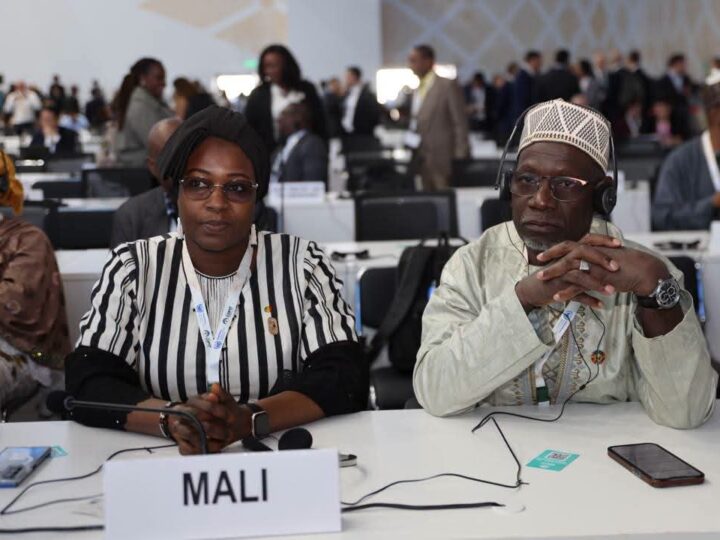 COP17 sur la désertification à Oulan Bator: Un plaidoyer poignant du ministre chargé de l’environnement