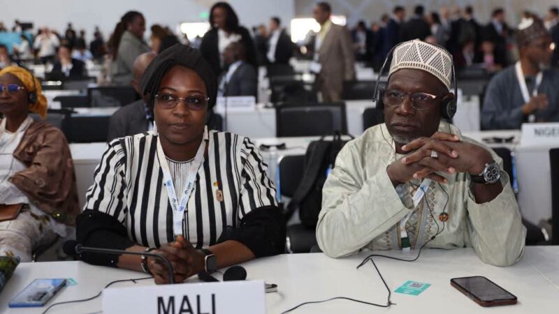 COP17 sur la désertification à Oulan Bator: Un plaidoyer poignant du ministre chargé de l’environnement