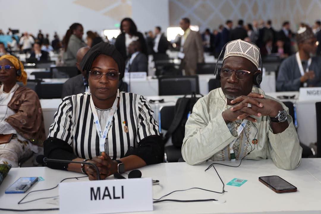 COP17 sur la désertification à Oulan Bator: Un plaidoyer poignant du ministre chargé de l’environnement