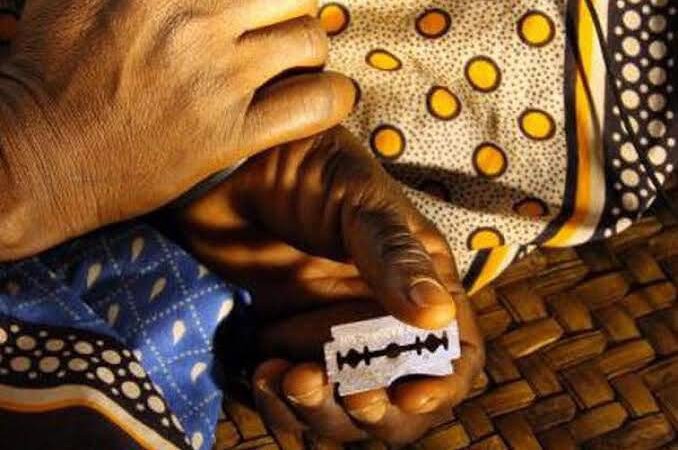 Le CNESS ordonne l’arrêt immédiat de l’étude POPEX à Bamako