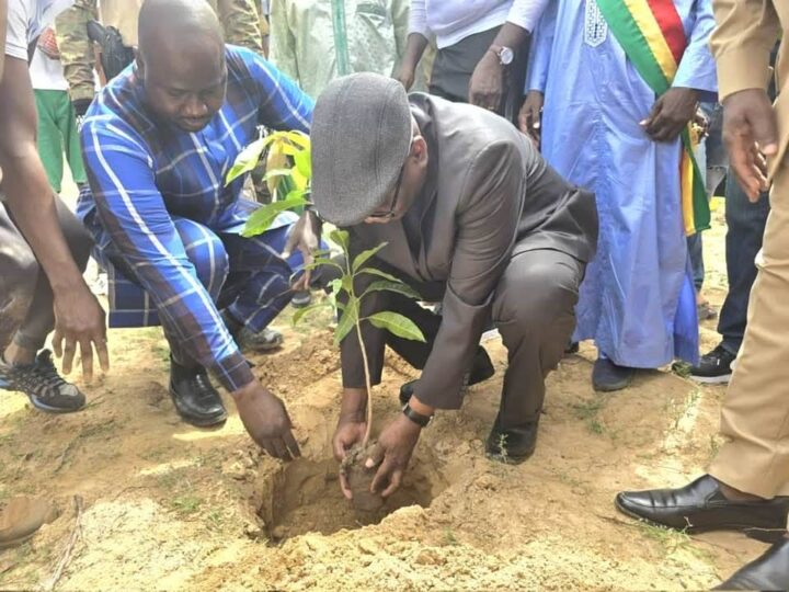 Mali-Wodougou : une matinée de reboisement marquée par la plantation de 100 pieds d’arbres (500 d&rsquo;eucalyptus et 50 Manguiers).