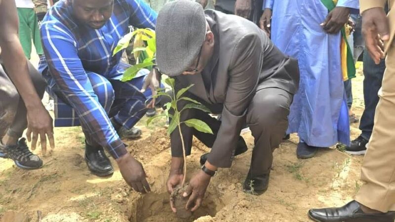 Mali-Wodougou : une matinée de reboisement marquée par la plantation de 100 pieds d’arbres (500 d&rsquo;eucalyptus et 50 Manguiers).