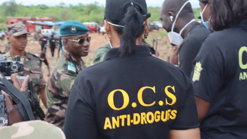 Plus de 270 tonnes de drogues saisies par l&rsquo;OSC en une année