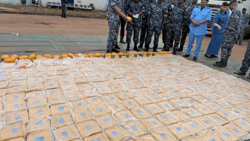 LUTTE CONTRE LE TRAFIC DE STUPÉFIANTS: La Douane saisit 230 kg de cannabis à Sénou