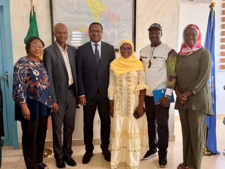 Mali-Renforcement du partenariat pour la santé maternelle et infantile