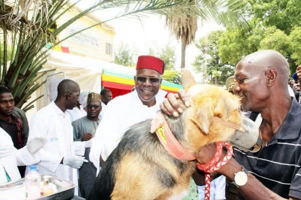 Mali- Lutte contre la rage : 23 cas recensés depuis le début de l&rsquo;année